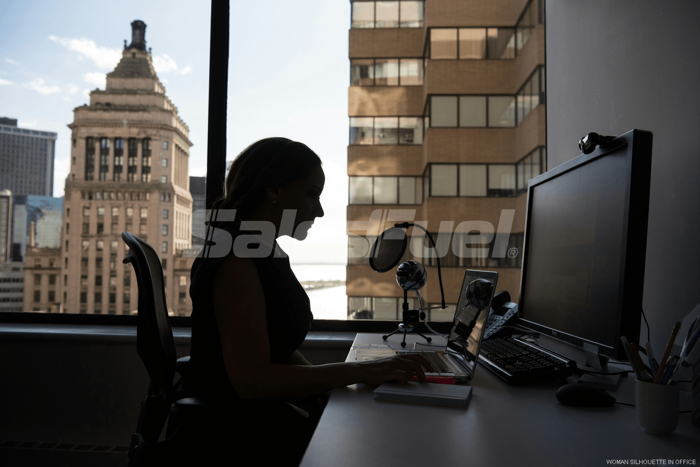 woman silhouette in office