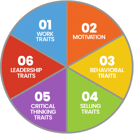 TeamTrait profiles 6 Elements of Professional Mindset