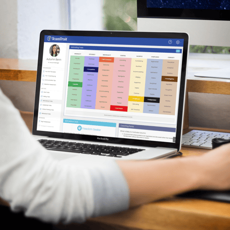 TeamTrait, Motivators, Pre-Hire Assessment Testing, Pre-Hire Assessments, sales hiring