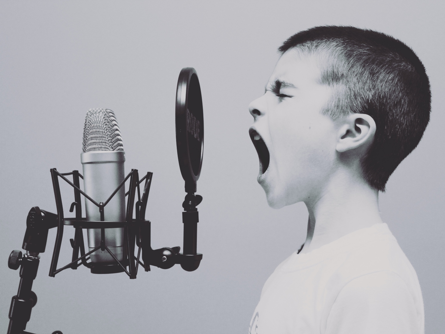 Featured image for “Discover the Best Vocal Characteristics for Sales”